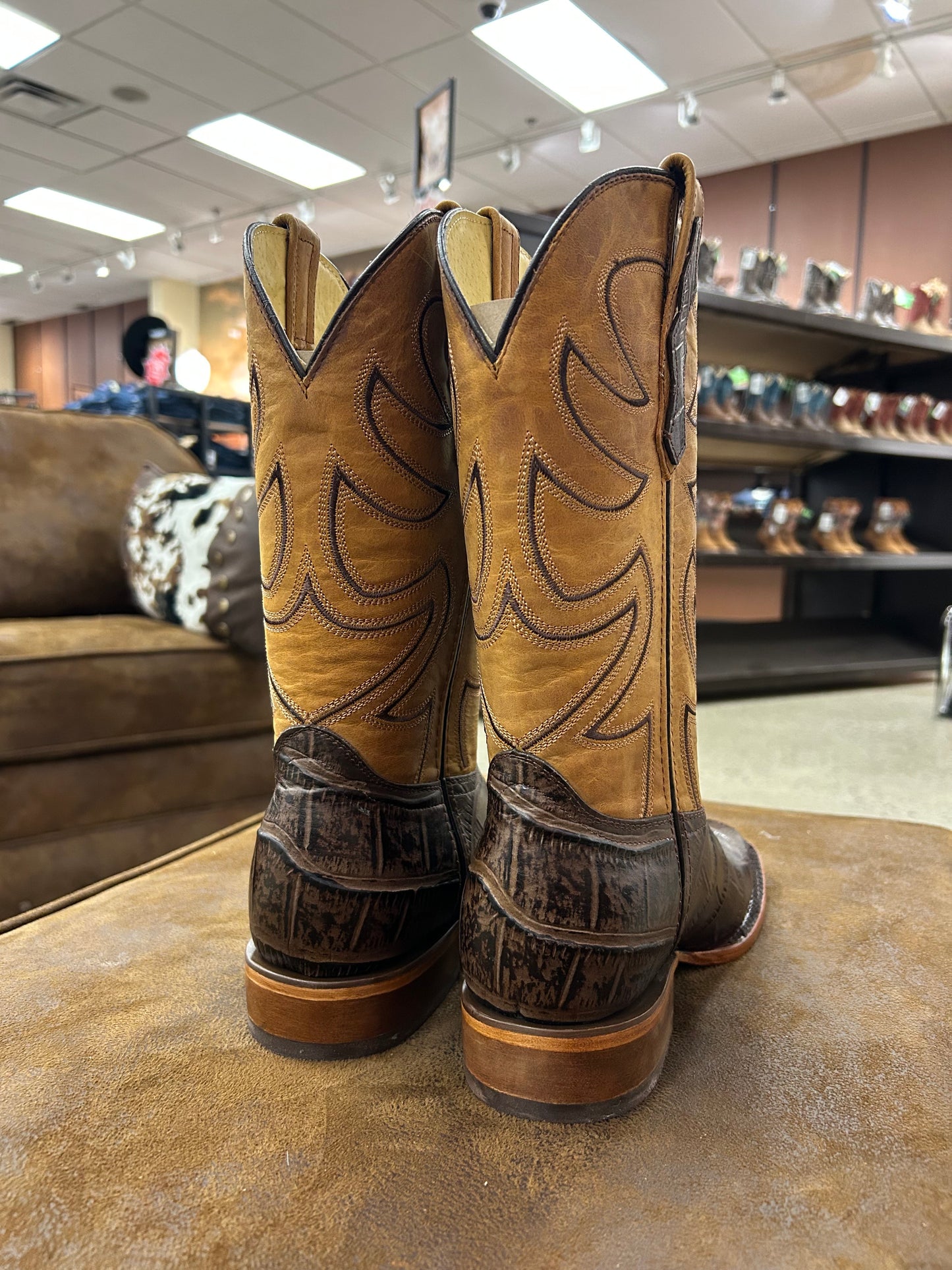 Rodeo Men Boot Printed Caiman Brown