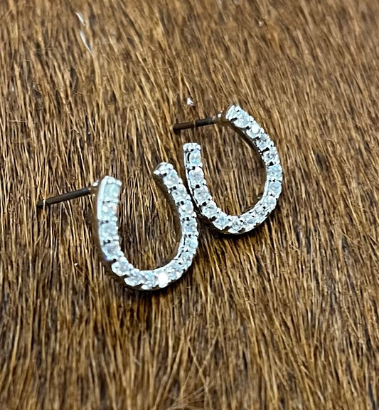 Silver Horseshoe Earrings