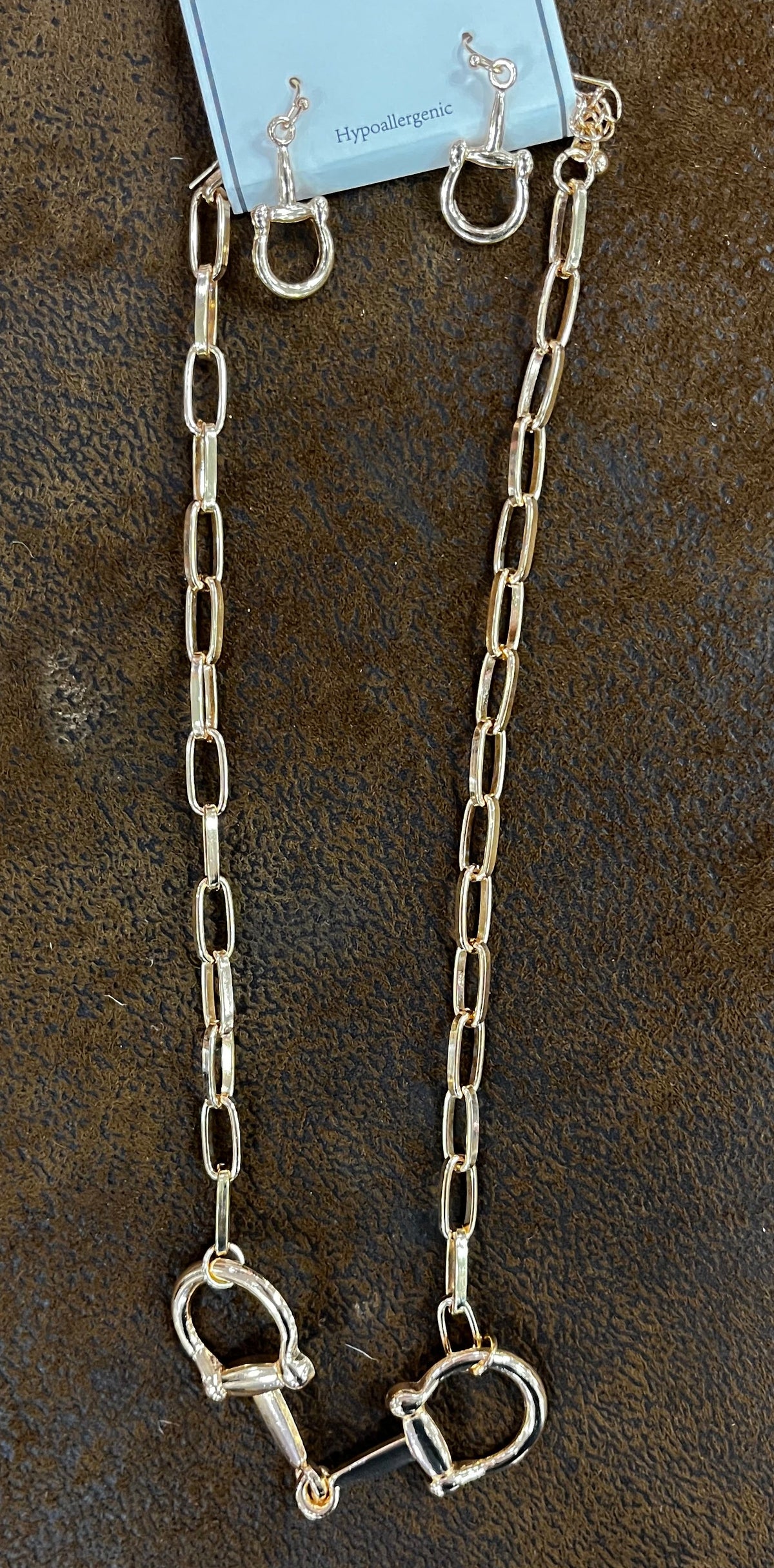 Western Double Linked Horse bit Necklace & Earrings