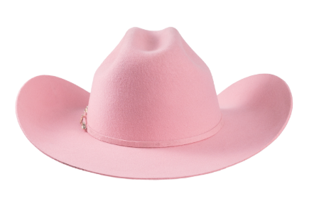 Bullhide Kingman 4X Women Felt Hat
