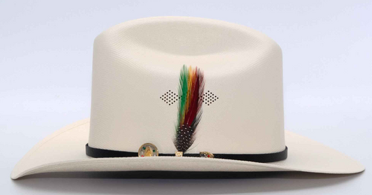 Stone 1000X chaparral telar 3” Virgen de Guadalupe Rancher Western Hat