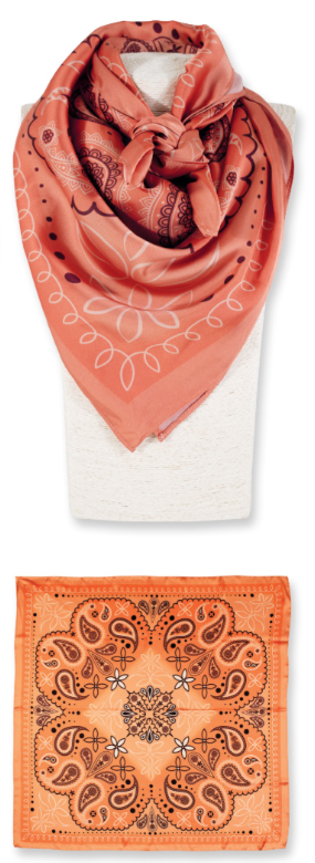 Catchfly Wild Rag Southwestern Paisley