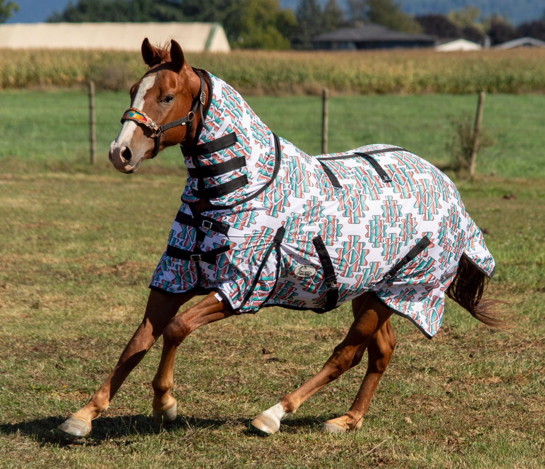 Jackpot Fly Sheet
