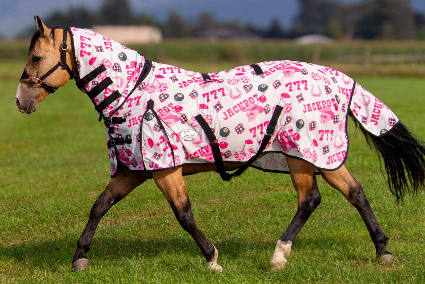 Jackpot Fly Sheet
