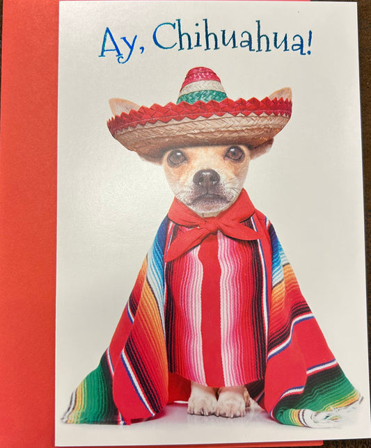 "Ay, Chihuahua" Happy Birthday Greeting Card