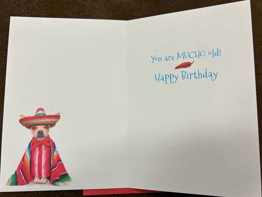 "Ay, Chihuahua" Happy Birthday Greeting Card