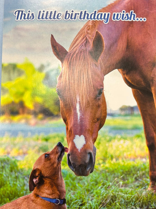 "This little birthday wish..." Greeting Card