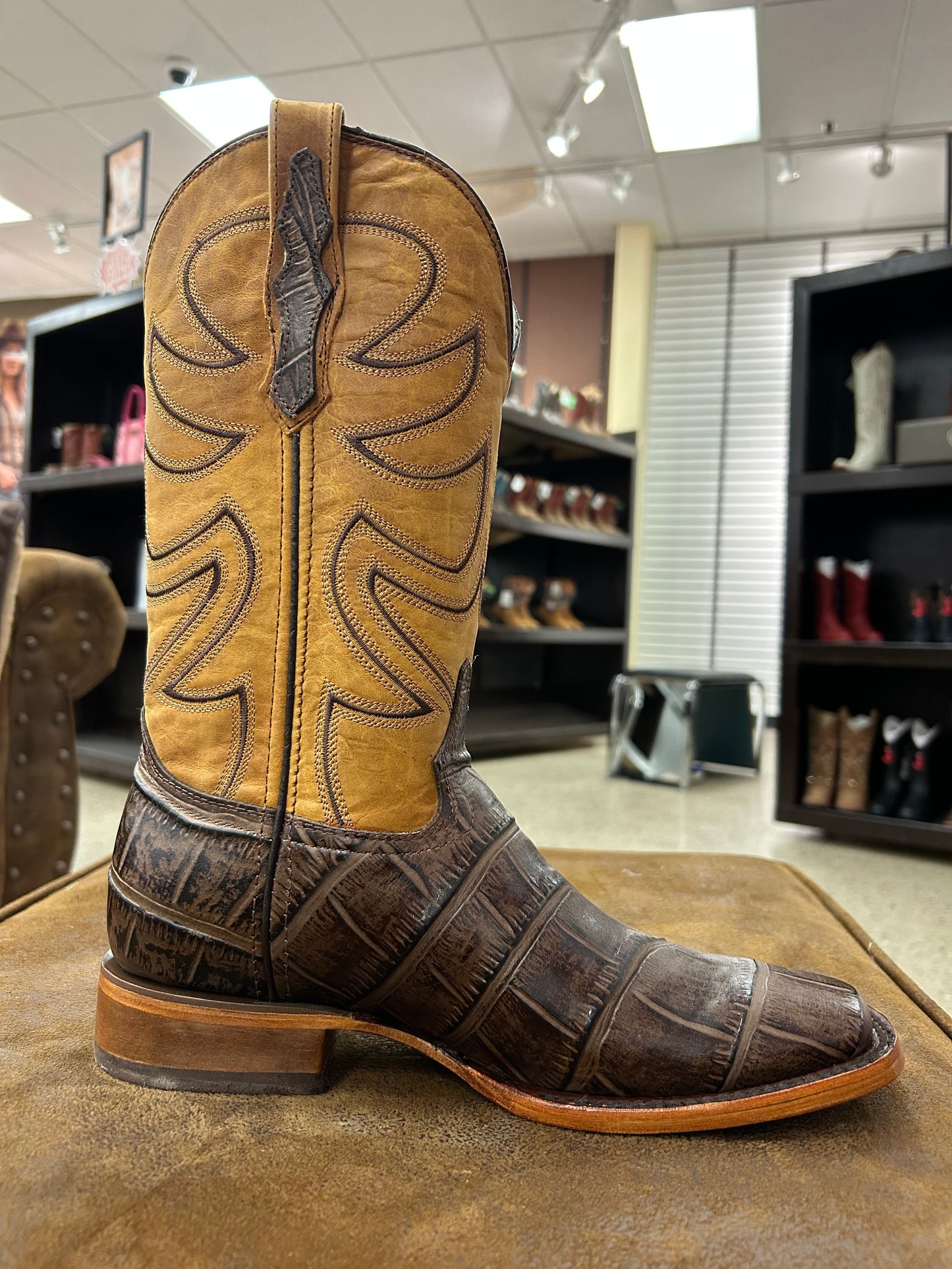 Rodeo Men Boot Printed Caiman Brown