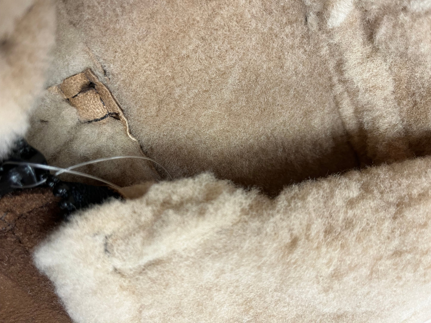 Little Shearling