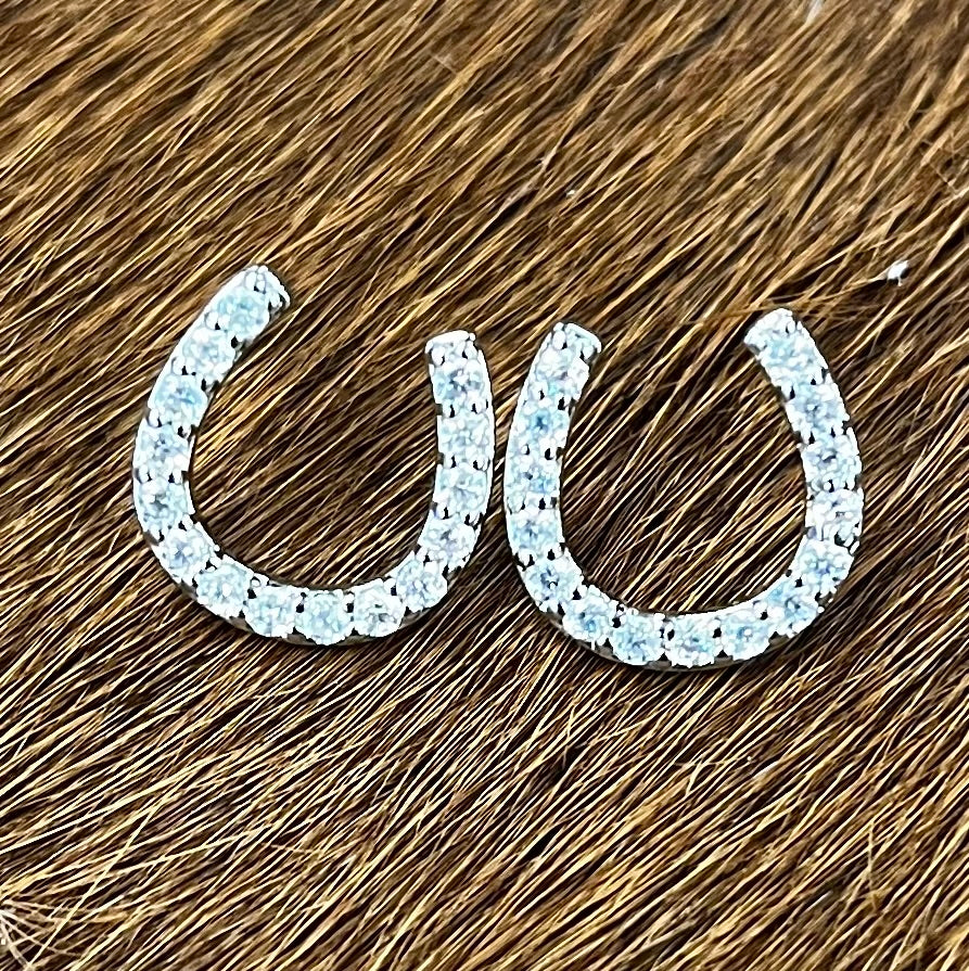 Silver Horseshoe Earrings