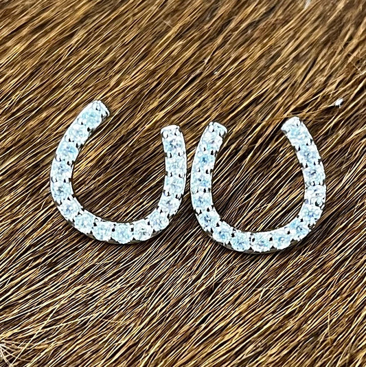 Silver Horseshoe Earrings