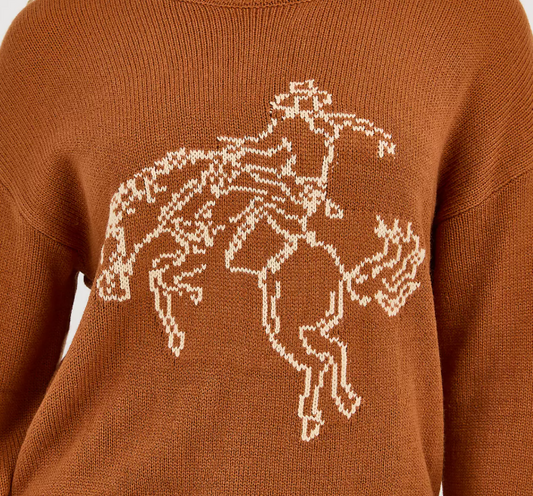 Women Orange Sweater