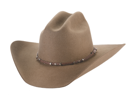 Bullhide Gholson 4X Felt Hat