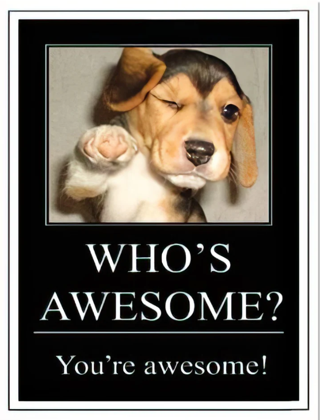 Happy Birthday to Your Amazing Awesomeness | Cute Puppy Card | Lighthearted Birthday Greeting Card