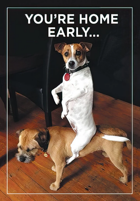 Pawsitively Caught | Funny Birthday Greeting Card