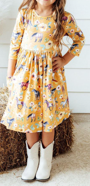 Mila & Rose Ponies & Poppies 3/4 Sleeve Pocket Twirl Dress