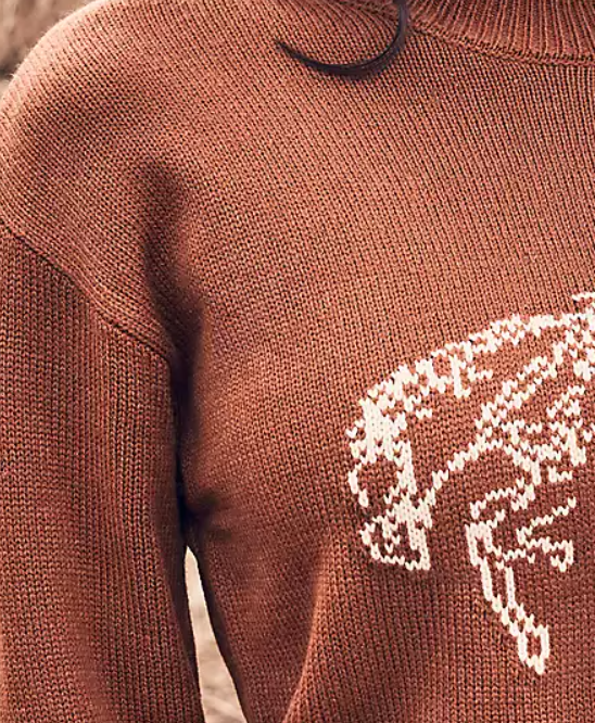 Women Orange Sweater