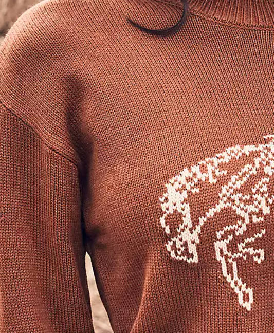 Women Orange Sweater