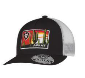 Ariat Men's Cap Desert Scene Patch Black